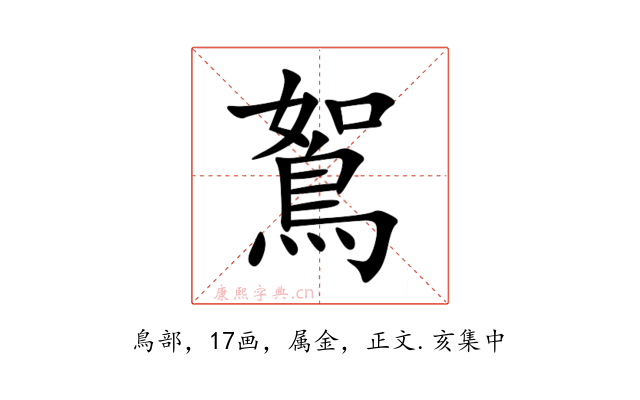 鴽