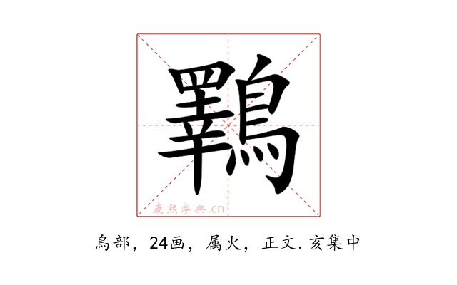 鸅