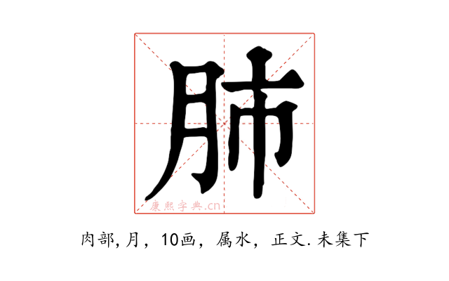 肺