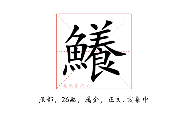 鱶