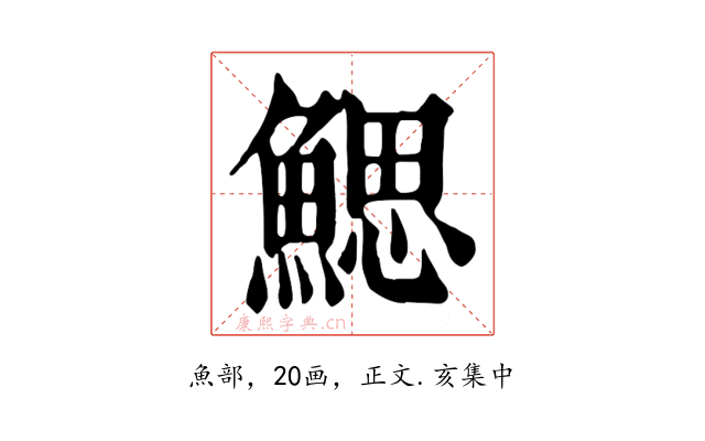 鰓