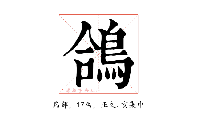 鴿
