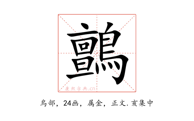 鸇