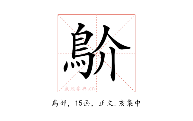 𩾴