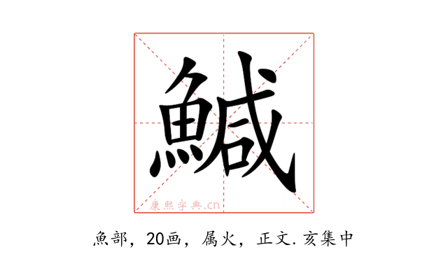 鰔