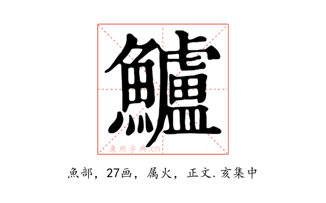 鱸