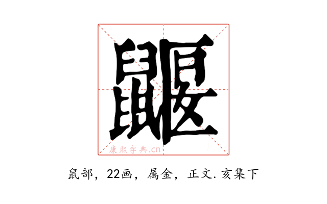 鼴