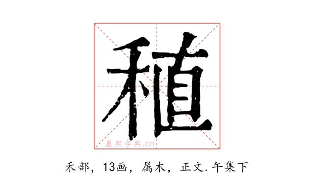 稙