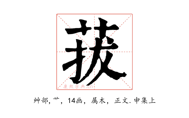 菝