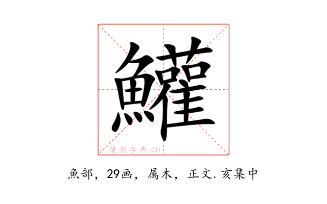 鱹