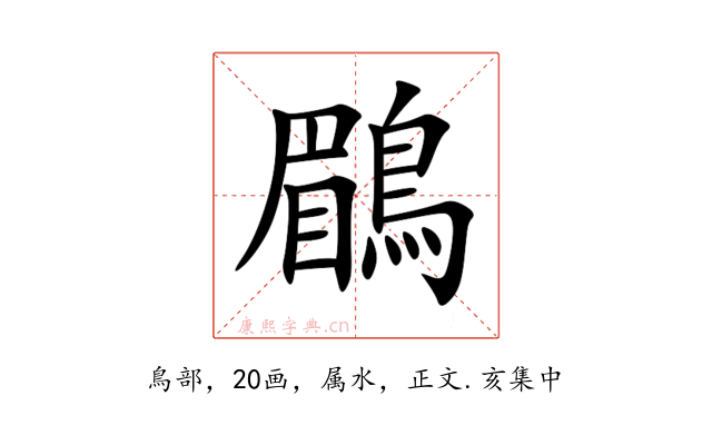 鶥
