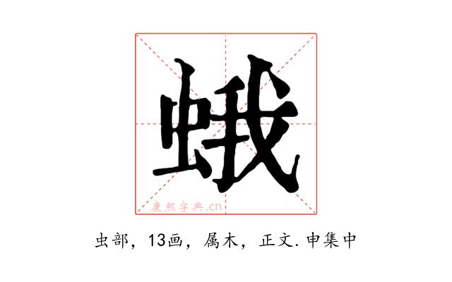 蛾