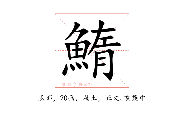 鰖