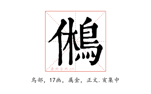 鵂