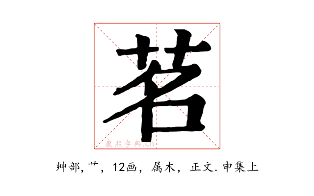 茗