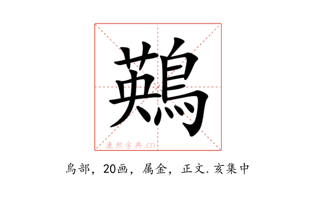 鶧