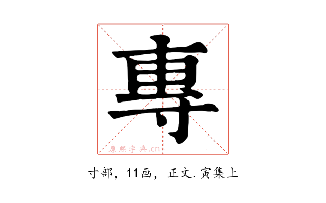 專