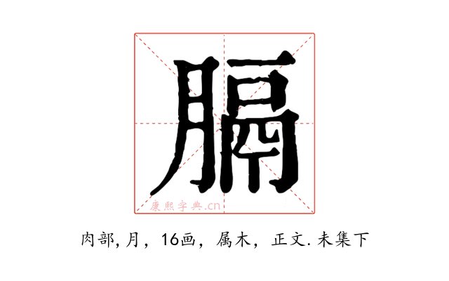 膈