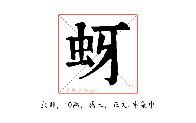 蚜