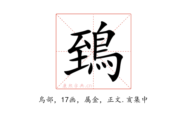 鵄