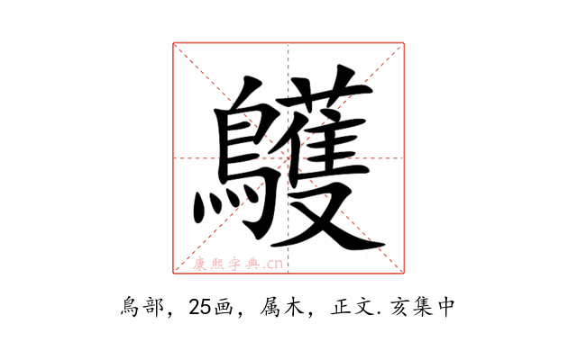 鸌