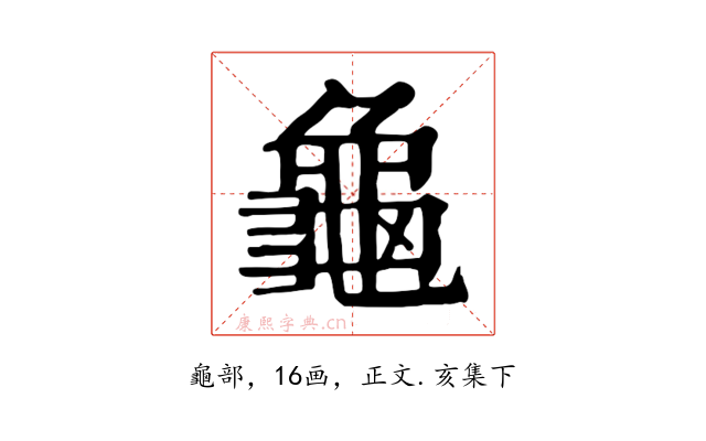 龜