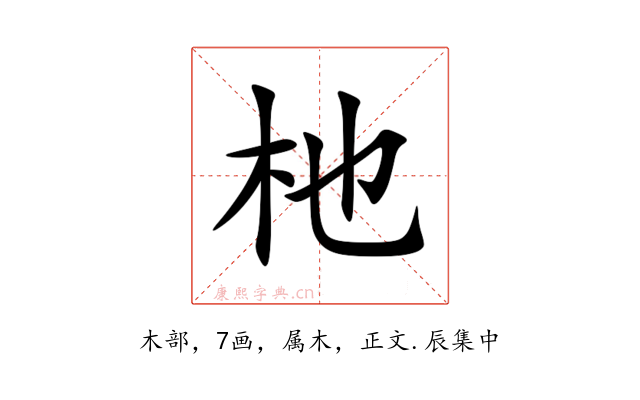 杝