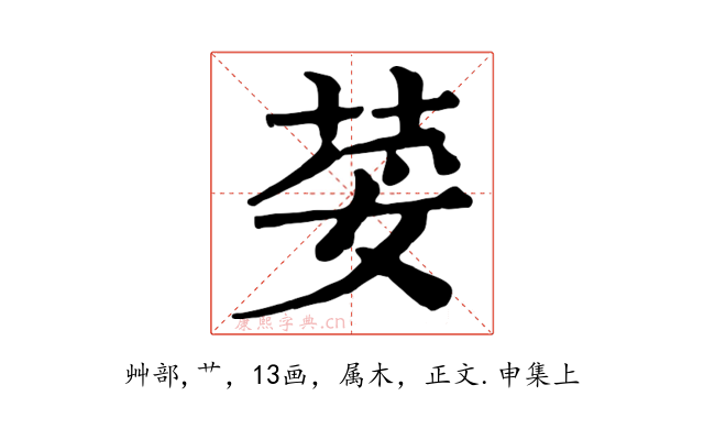 荽