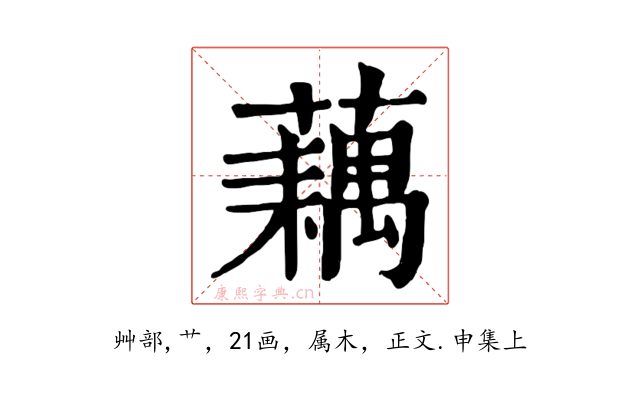藕