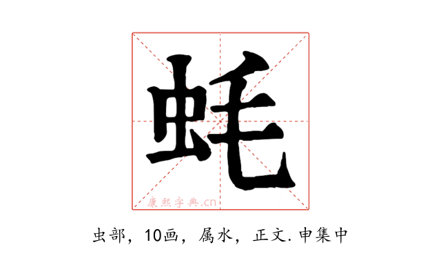 蚝