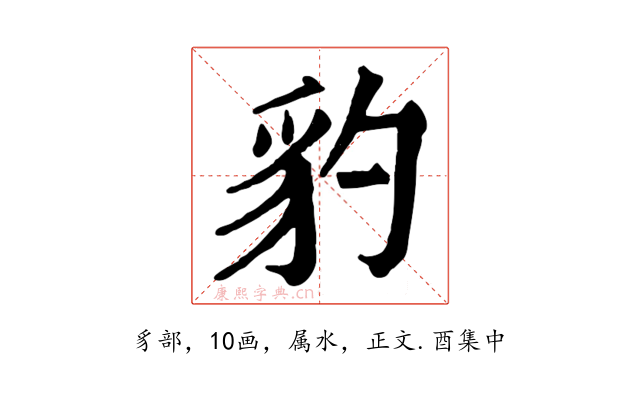 豹