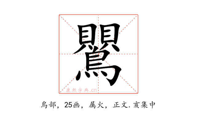 鸎