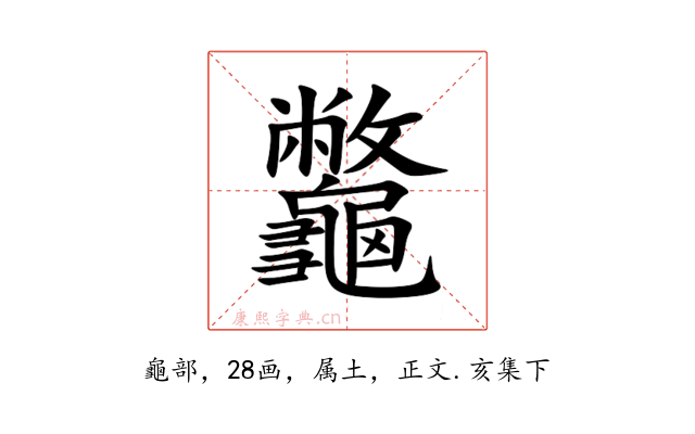龞