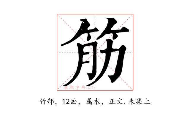 筋