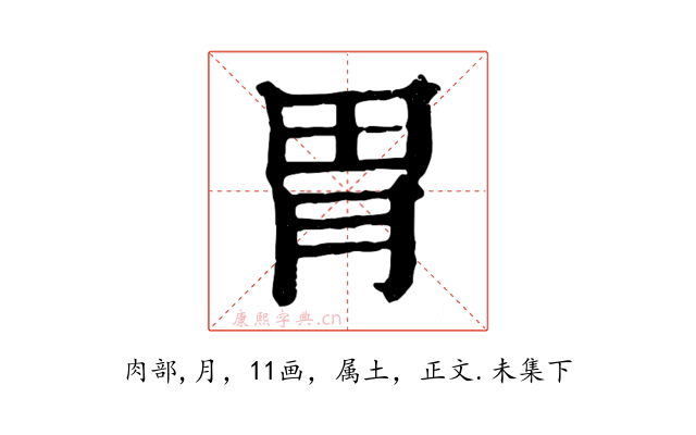 胃