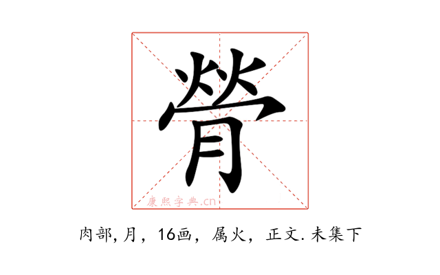 膋