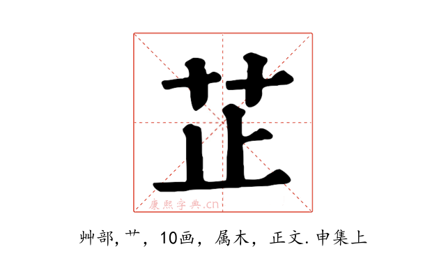 芷