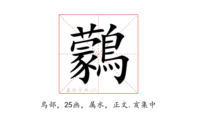 鸏