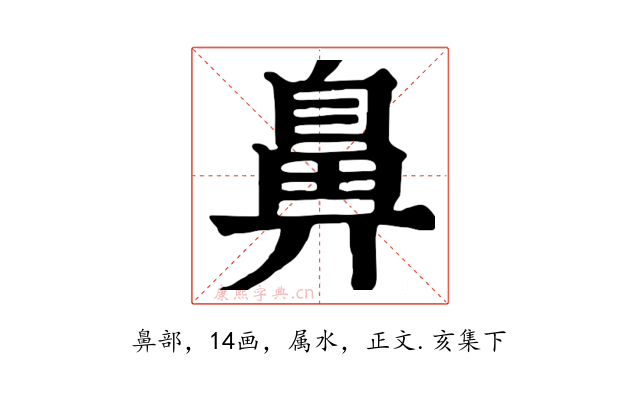 鼻