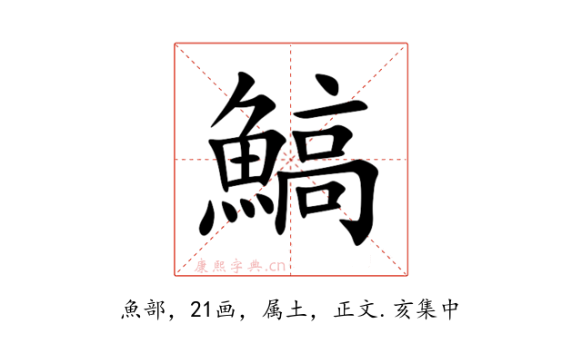 鰝