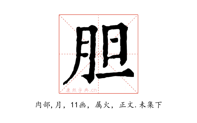 胆