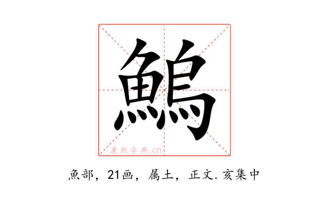 鰞