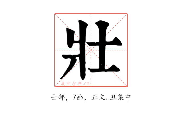 壯