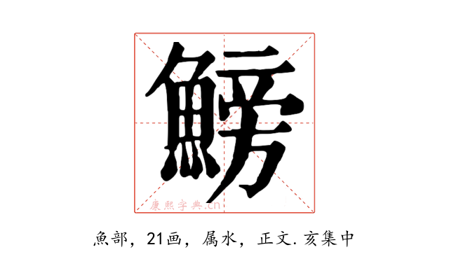 鰟