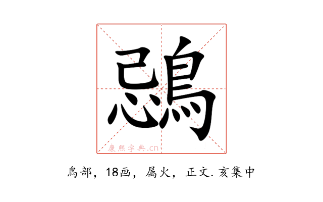 鵋