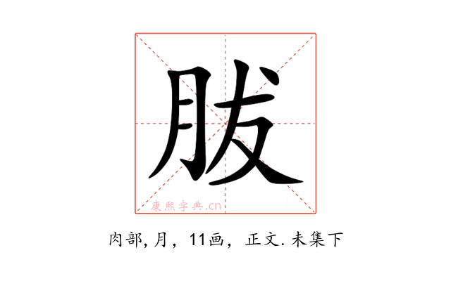 胈