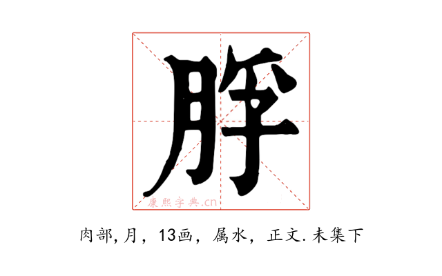 脬