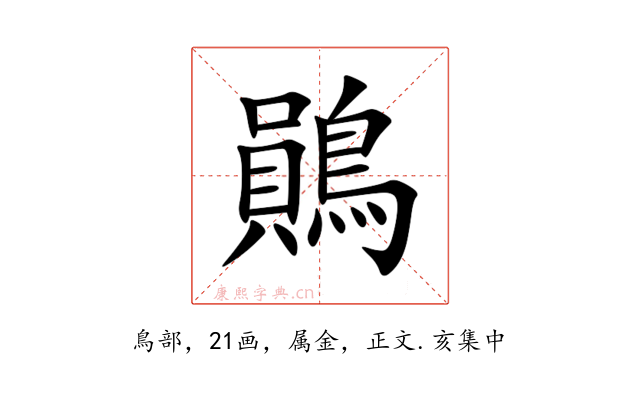 鶰