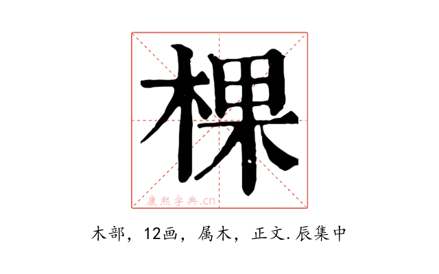 棵