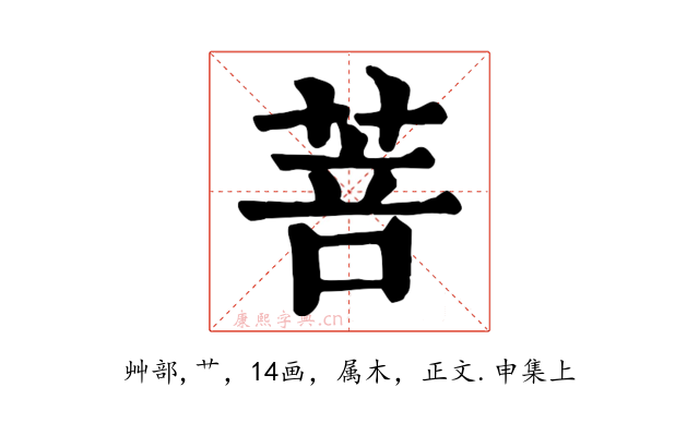 菩
